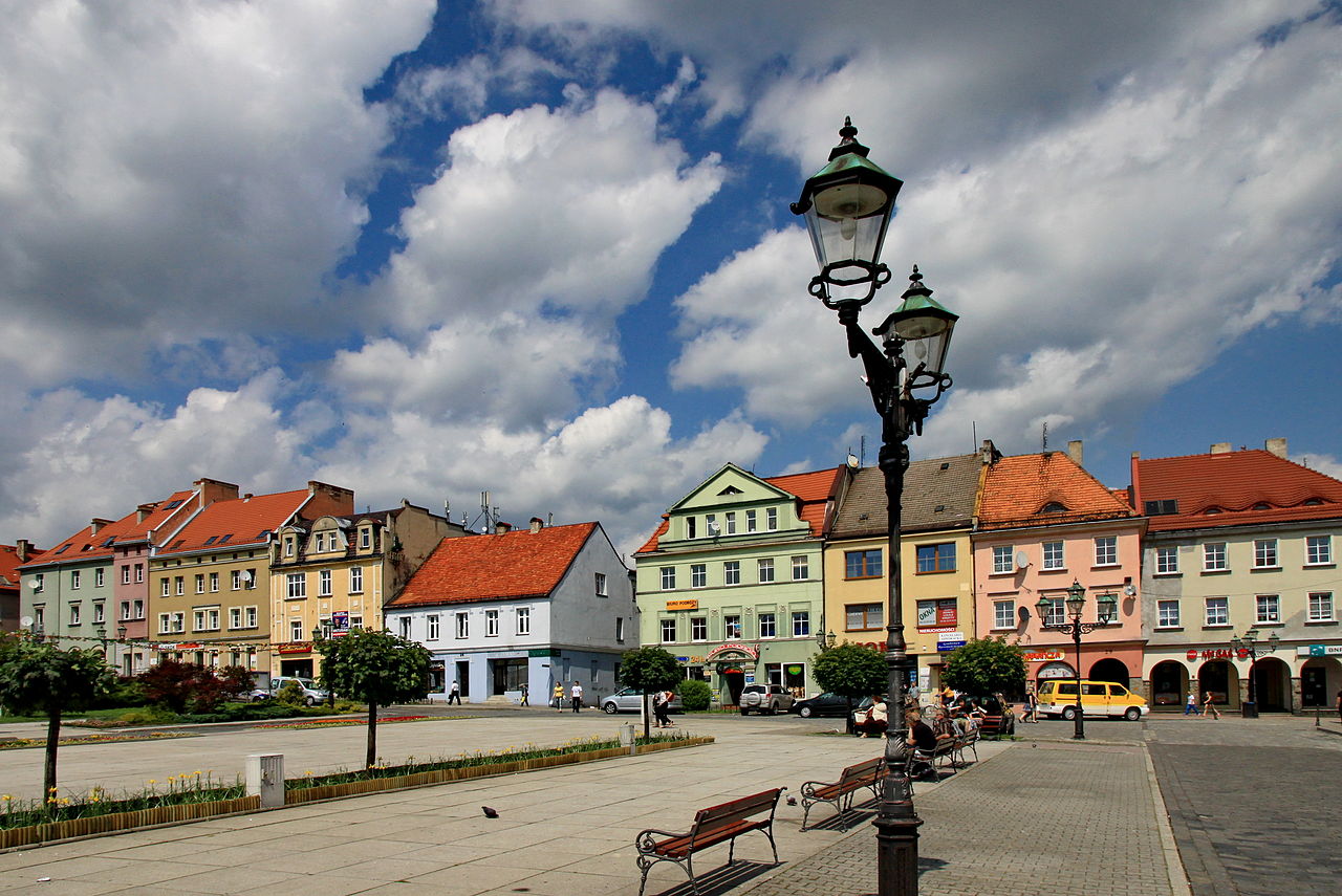 Przewóz busem z Wodzisławia Śląskiego do Holandii