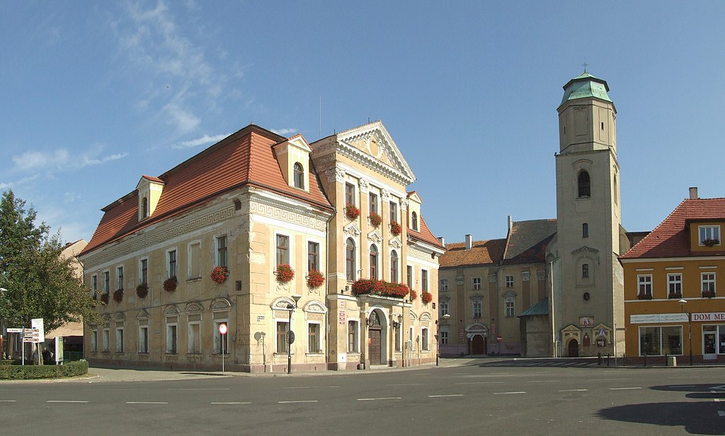 Przewóz busem z Żagania do Holandii